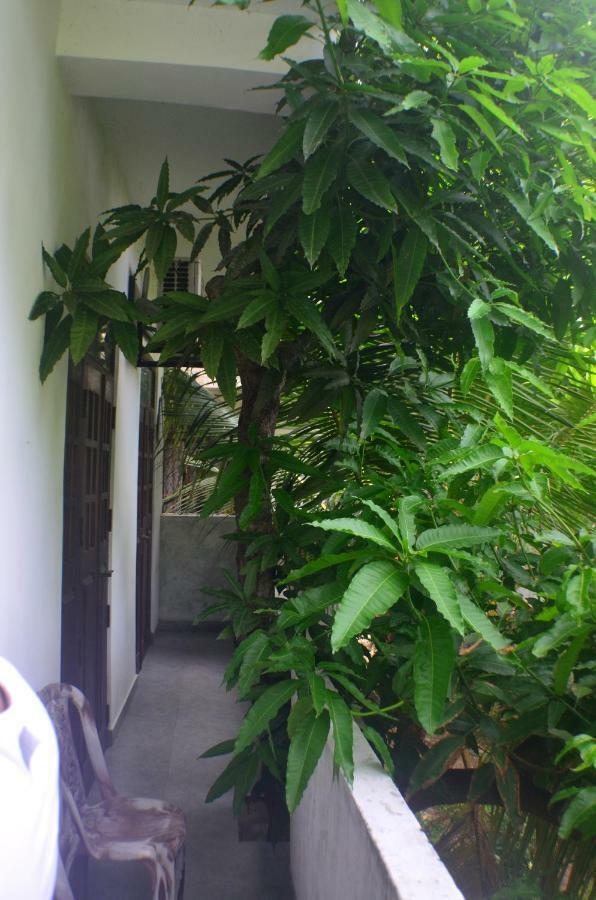 Steps Backpackers Hostel Colombo Exterior photo