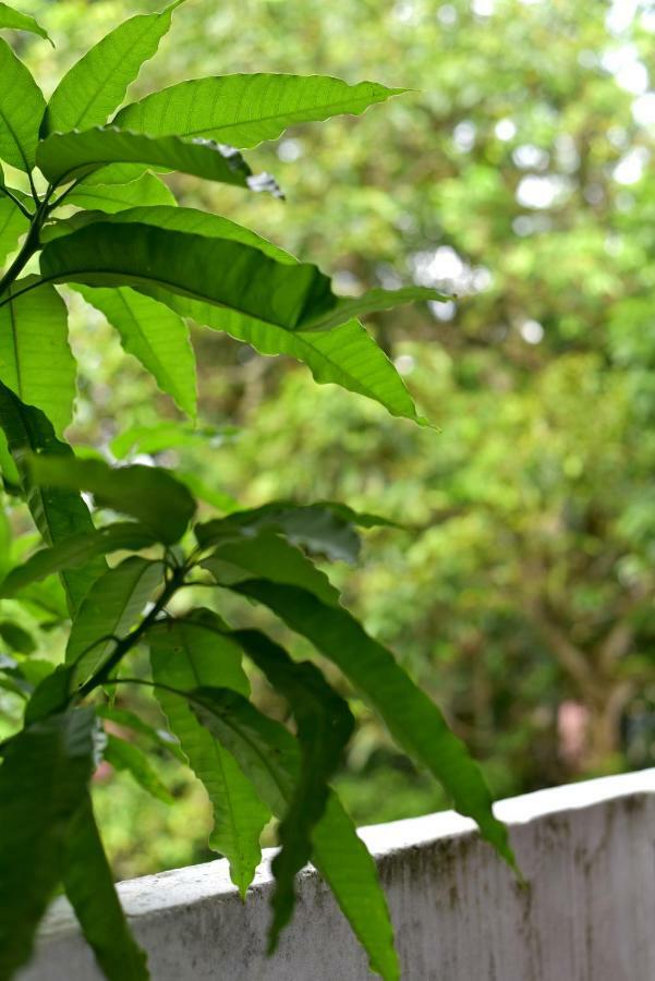 Steps Backpackers Hostel Colombo Exterior photo